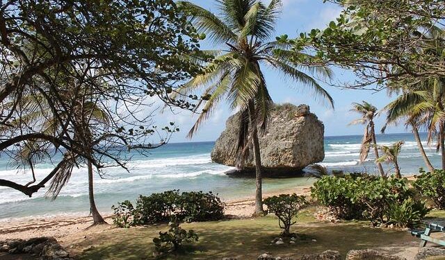 Barbados Welcomes the First-Ever American Airlines Flight from Philadelphia – AviationSource News