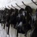 Death from Ebola-like virus reported in Iowa after travel to West Africa – The Washington Post