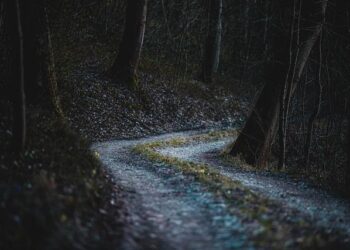 The U.S. Gets Its First Official Quiet Trail—In Nebraska – 5280 | The Denver Magazine