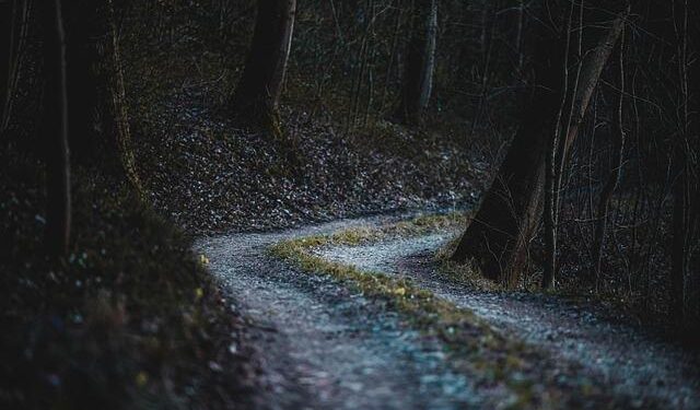 The U.S. Gets Its First Official Quiet Trail—In Nebraska – 5280 | The Denver Magazine