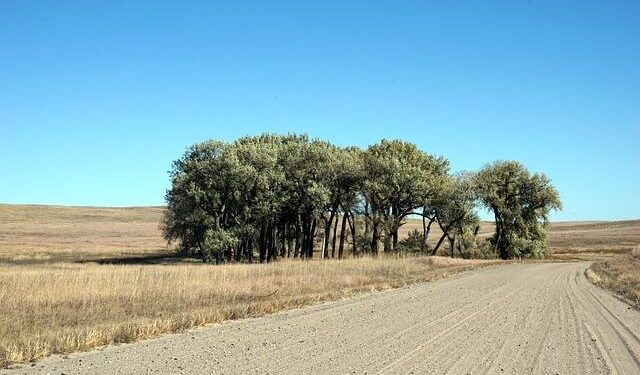 Sleepy no more: Fischer-Osborn U.S. Senate race in Nebraska wakes up – Nebraska Examiner