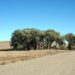 Sleepy no more: Fischer-Osborn U.S. Senate race in Nebraska wakes up – Nebraska Examiner