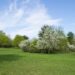 This nice weather isn’t a fluke. It’s a trend. – Axios