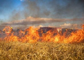 Winds, dry conditions threaten to fan wildfires scorching parts of the Carolinas – CNN