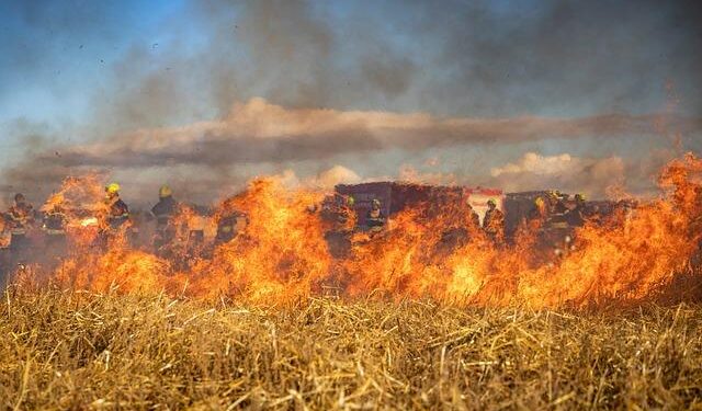Winds, dry conditions threaten to fan wildfires scorching parts of the Carolinas – CNN