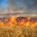 Winds, dry conditions threaten to fan wildfires scorching parts of the Carolinas – CNN