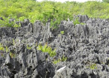 Europe And Latin America To Gain Exclusive Nonstop Access To The Cayman Islands, Revolutionizing Caribbean Travel – Travel And Tour World