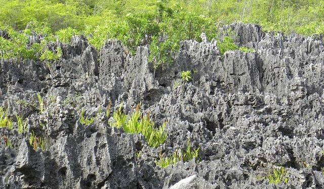 Europe And Latin America To Gain Exclusive Nonstop Access To The Cayman Islands, Revolutionizing Caribbean Travel – Travel And Tour World