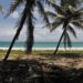 Martinique New York on Broadway is the perfect “sense of place” hotel in Midtown – the AU review