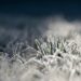 ‘Life-threatening cold’ hits parts of US following deadly weekend flooding – Voice of America