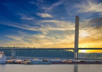 Rains Swell Mississippi River, U.S. Soy Exports Flow at 4-Year High – Successful Farming