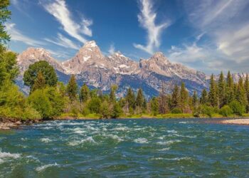 Wyoming Aims to Launch US Dollar-Backed Stablecoin in 2025 – PYMNTS.com