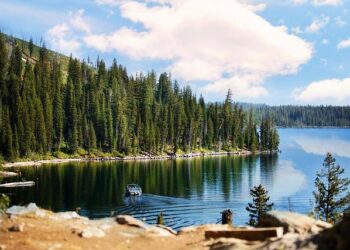 Wyoming Moves Ahead With Slight Change to Law Allowing Wolves to Be Killed With Vehicles – U.S. News & World Report