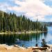 Wyoming Moves Ahead With Slight Change to Law Allowing Wolves to Be Killed With Vehicles – U.S. News & World Report