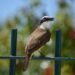 This Small Town Is The “Little Holland Of America” – TheTravel
