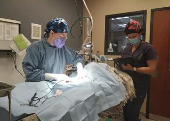 Colorado’s proposed VPA – American Veterinary Medical Association