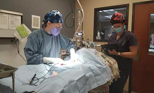 Colorado’s proposed VPA – American Veterinary Medical Association