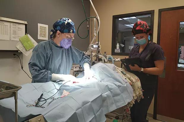 Colorado’s proposed VPA – American Veterinary Medical Association