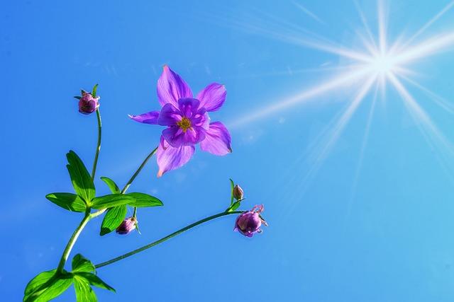 Future Prospects: Strengthening the Partnership for Sustainable Growth