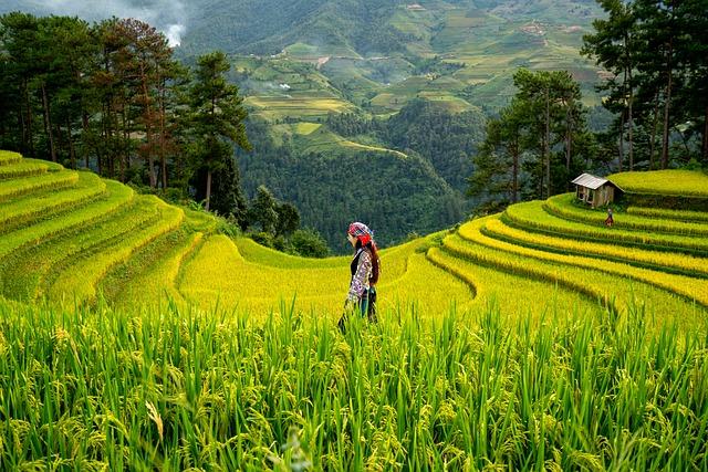 Empowering Women and Youth: Key Beneficiaries of the Grant