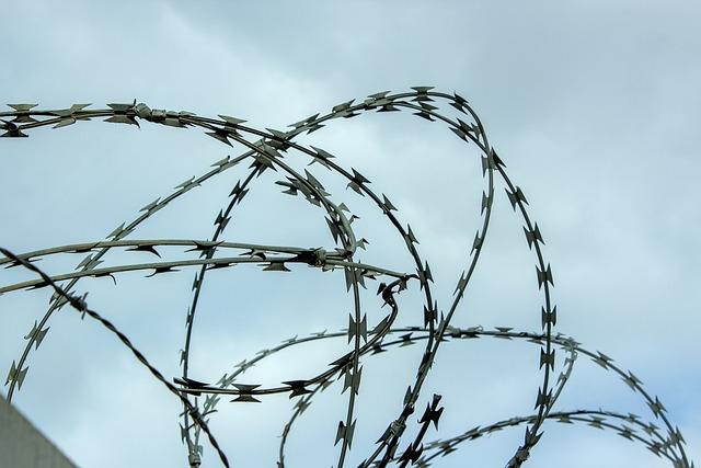 Broader Implications for Border Security and Public Safety