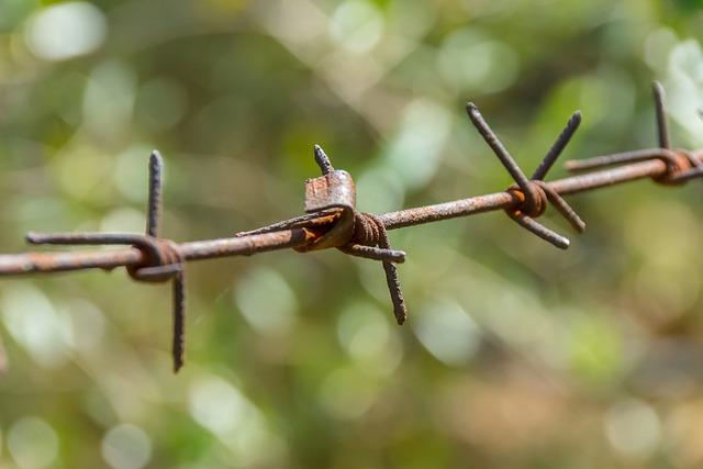 Recommendations for Enhancing Collaboration on Asylum Issues