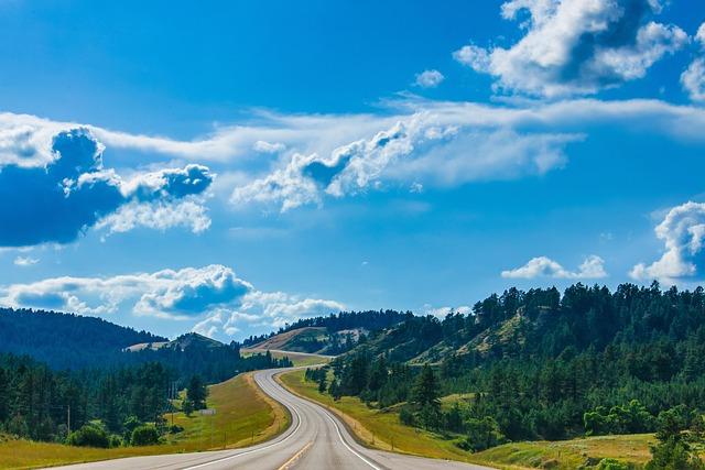 Potential Benefits and Risks Associated with Wyoming's Monetary experiment