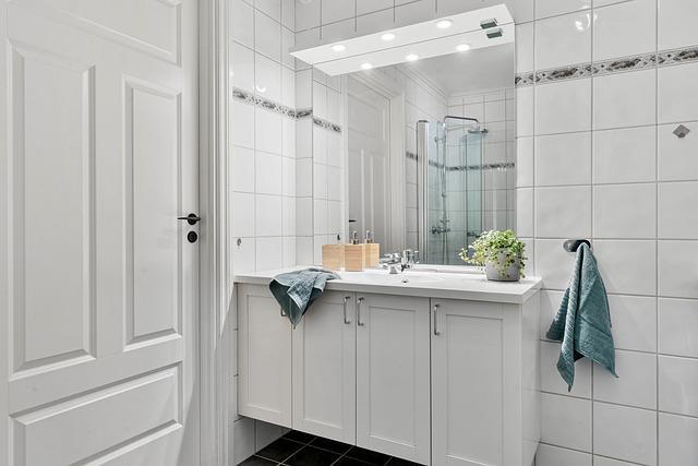 Comparative analysis of Bathrooms in ​Top U.S. Attractions