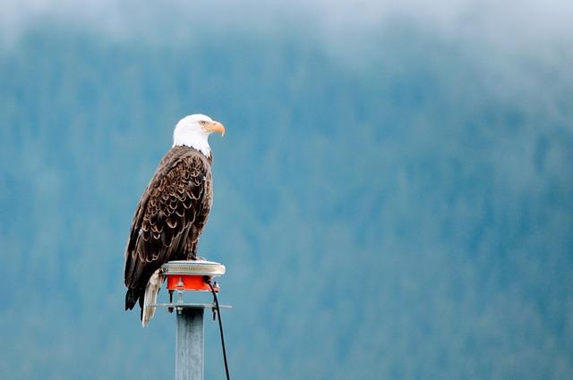 Future ‌Prospects and Challenges‍ for the ​Alaska LNG export Strategy