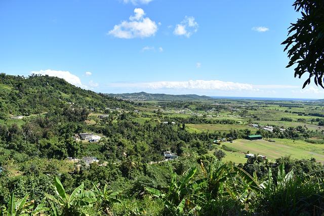 A Culinary Journey Through Puerto Rico’s Vibrant Food Scene