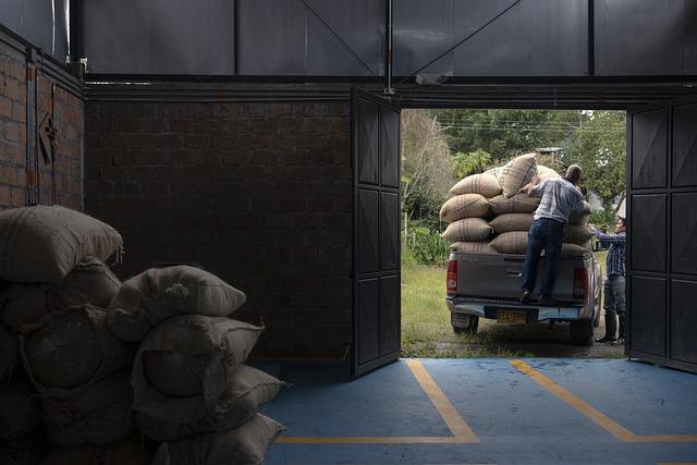Recommendations for Businesses Navigating the Changing Trade Landscape