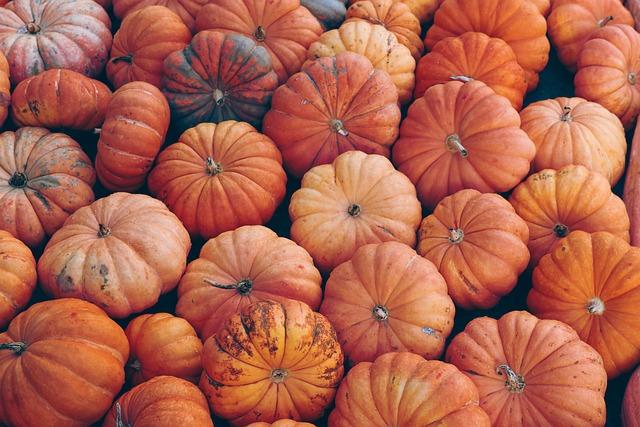 The Role of Policy in Fostering Abundance: Recommendations for Lawmakers
