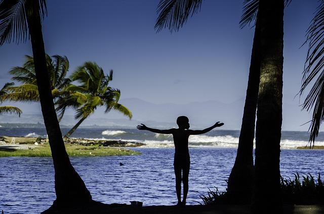 Community Reactions: Voices from the Ground in Haiti Following the Flight Restrictions