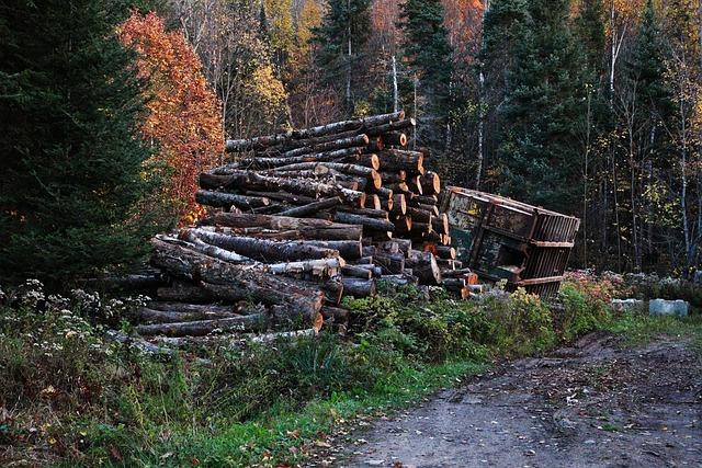 Collaborative Efforts to Combat Deforestation​ in ​Ecuador