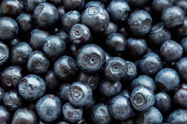 The Future of Frozen Blueberries in Peru: insights and Projections