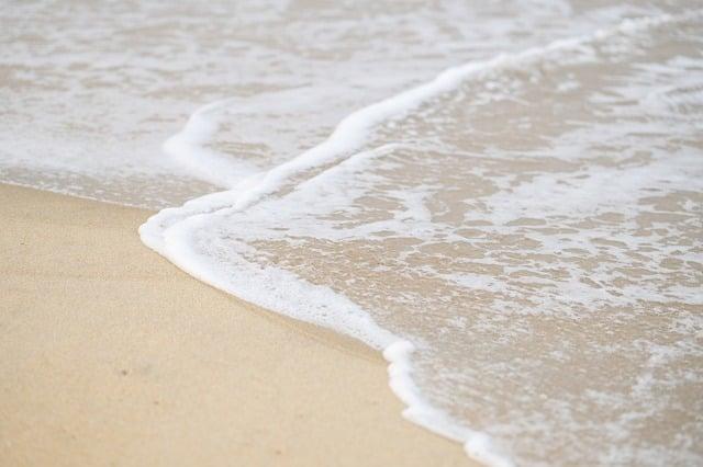 Threats to Marine life in the Sargasso Sea and Surrounding Regions