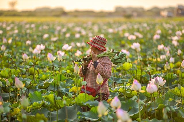 Support Networks and Resources for Refugee Farmers in New Hampshire