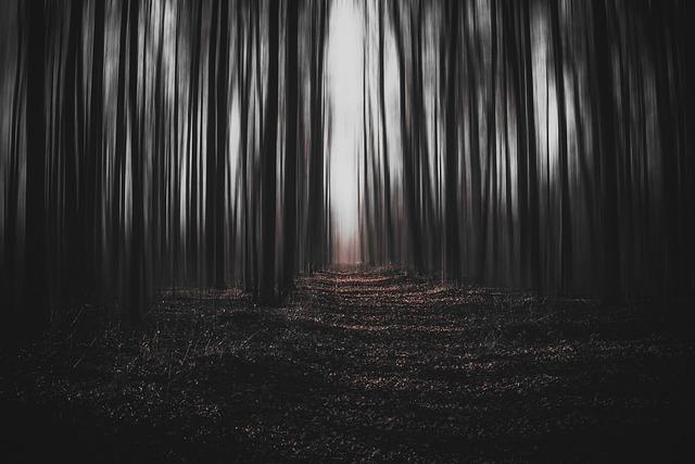 A Community in Fear:⁤ public ‍Reactions to the Discovery of Seven Bodies