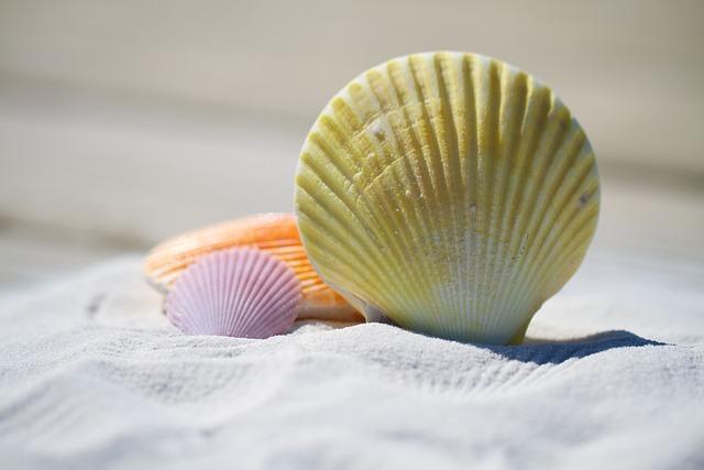 Shell Enhances Its Strategic Footprint in the U.S. energy Sector