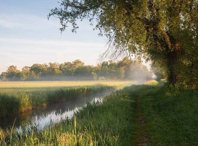 Future Collaborations: Leveraging the Canal for Bilateral Growth and Innovation