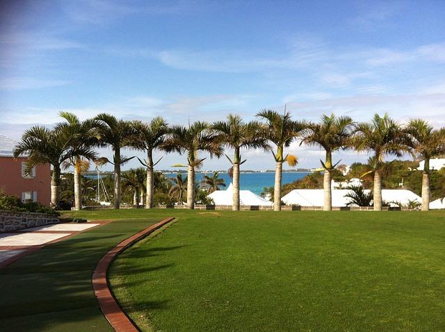Bermuda's Economic Strengths: A Highlight on financial Services and Tourism
