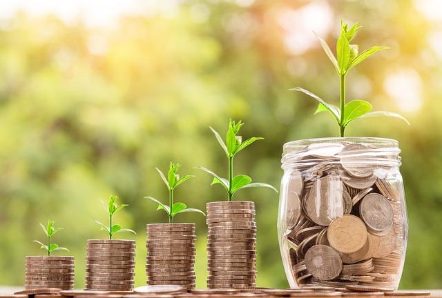 Evaluating Risks and Benefits of Foreign Investment in Caribbean Aviation