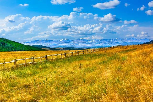 The Unique Political Landscape of Montana and Its Electoral Influence