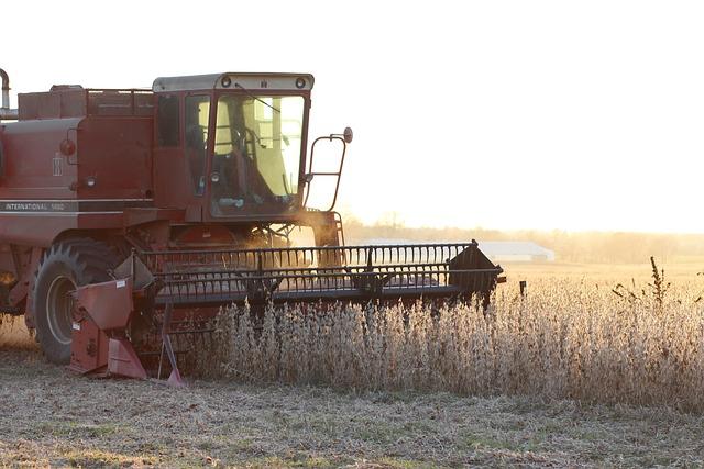 Analysis of Soybean Export Trends Amid Rising Water Levels