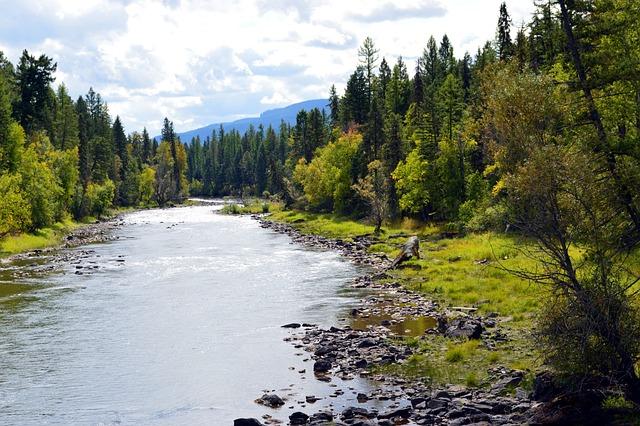 Implications of a montana Senate Outcome on National politics and Policy