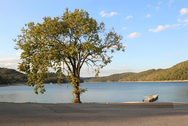 Arkansas is the⁢ fourth most dangerous state in⁣ America: US News - ⁣KARK