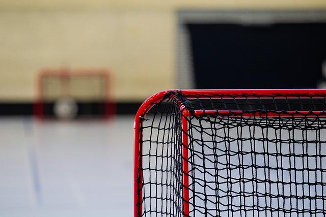Tips for Enjoying the‌ Match Experience at Home