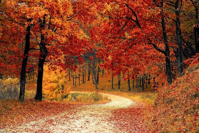 Natural Landscapes: Experiencing Diverse Scenery beyond the Beaches