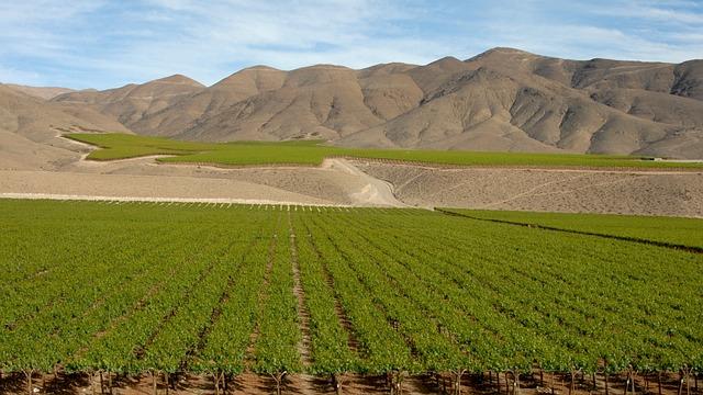 Chile's Role as a Catalyst for Regional Private Sector Partnerships