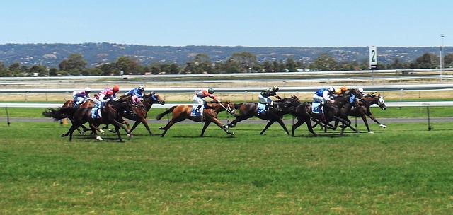 Notable Achievements: Records and Milestones in Thoroughbred Racing